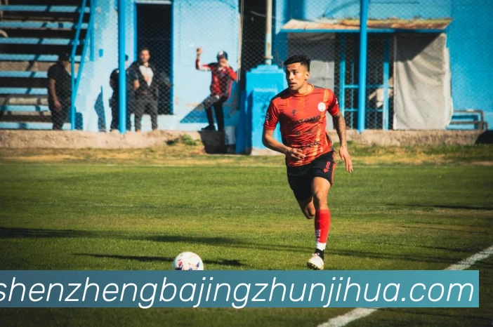 App Interface Preview